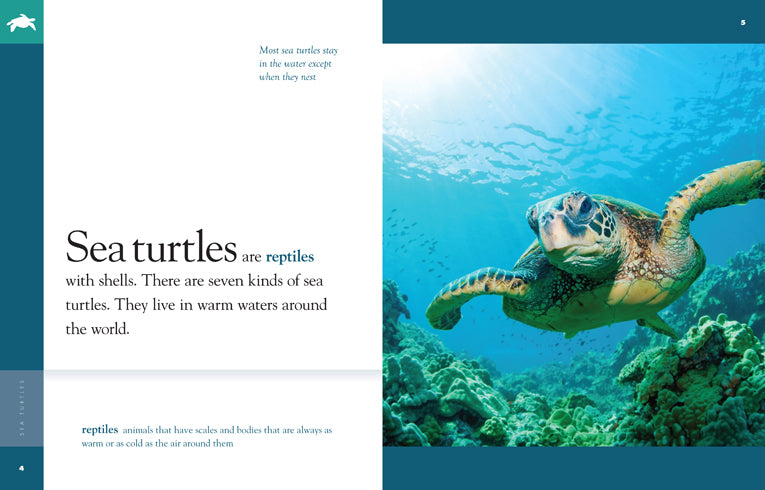 Amazing Animals (2014): Sea Turtles - Educational Marine Life Documentary for Kids & Nature Lovers | Perfect for Classroom Learning & Family Movie Nights