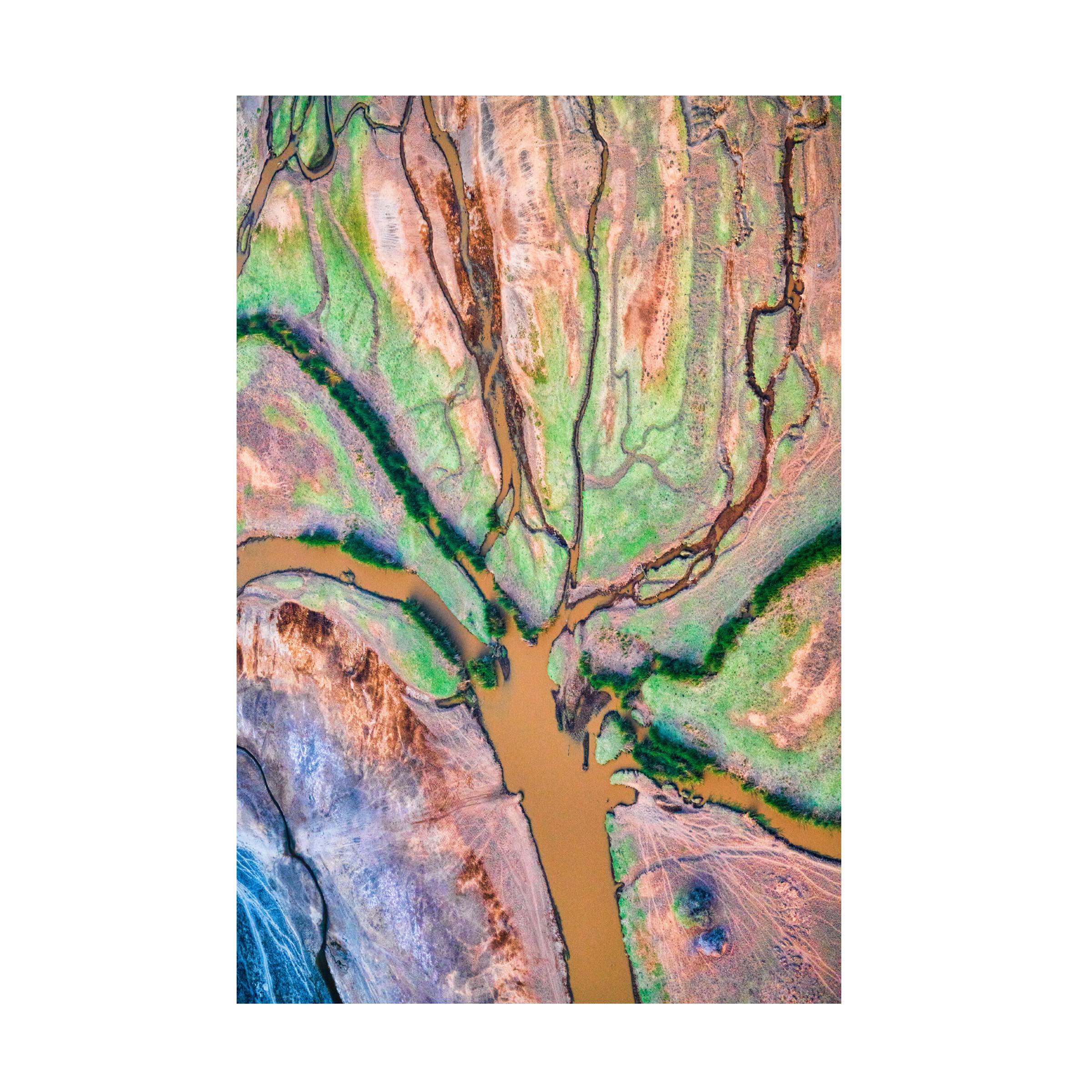 Trademark Fine Art 'Gods Palette' Canvas Wall Art Print by John Fan - Perfect for Living Room, Bedroom & Office Decor