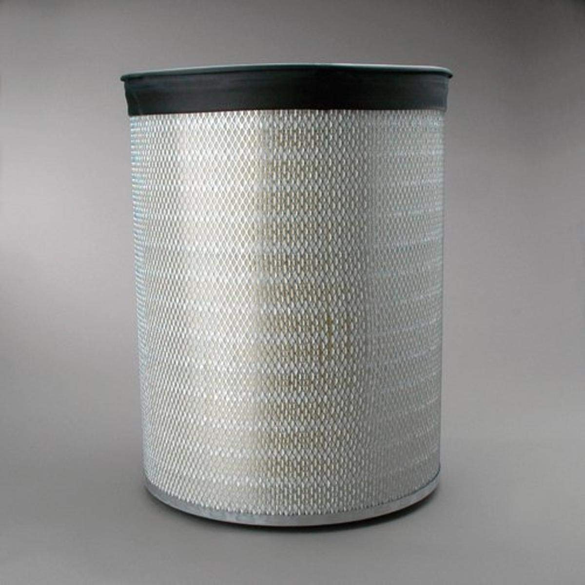 Donaldson P181038 Air Filter Replacement - High Performance Engine Protection for Trucks & Heavy Equipment | Ideal for Off-Roading, Construction & Fleet Maintenance