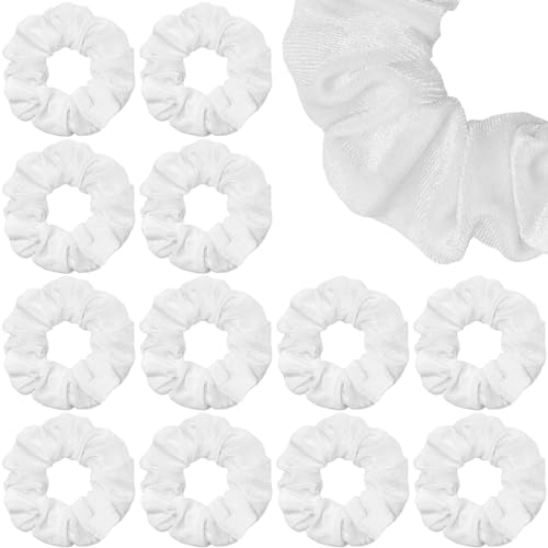 DEVPRIYA Satin Scrunchies - 10-Pack Anti-Hair Breakage Hair Ties Set for Women & Girls (Earthy Shades) | Soft Hair Accessories for Daily Use, Workouts, and Gifts for Sister, Friend, Mom