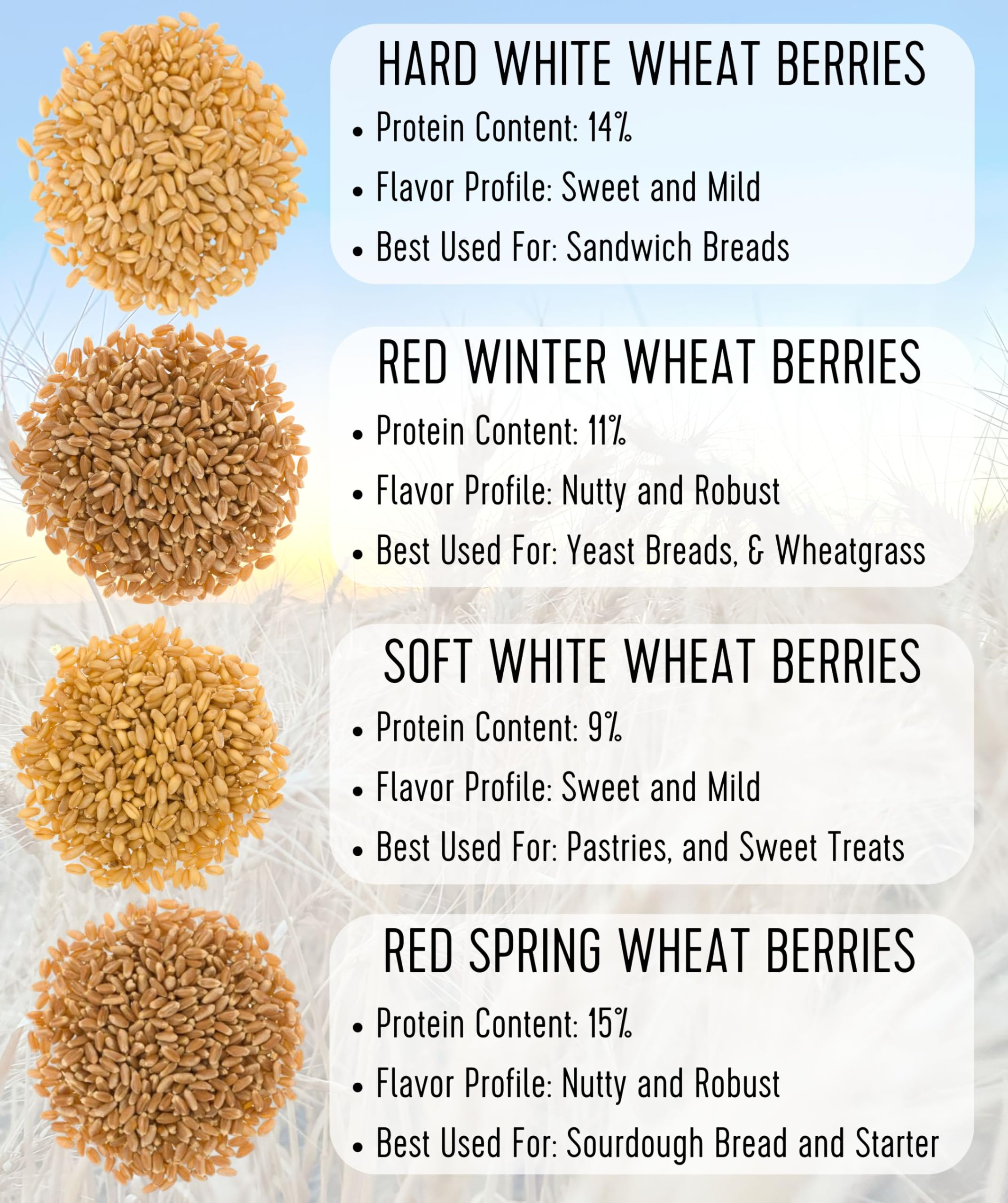 Organic Hard Red Spring Wheat Berries - 100 LBS Bulk | Non-GMO Project Verified, Kosher Certified | Sproutable Wheat for Baking, Bread Making & Home Milling | Perfect for Artisan Bread, Homemade Flour & Healthy Recipes