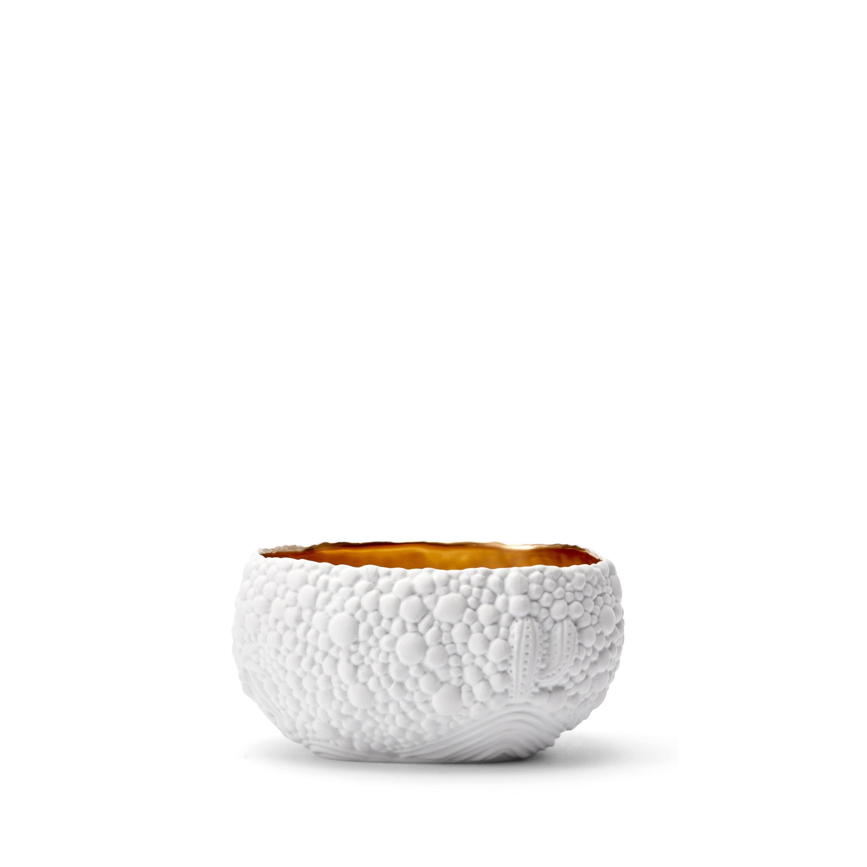 Haas Mojave Desert Bowl - Small White & Gold Ceramic Serving Bowl for Salads, Snacks, and Home Decor