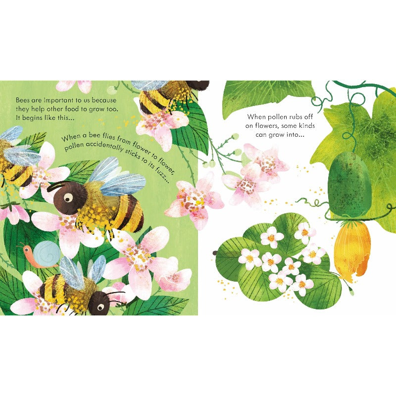 Peep Inside A Beehive - Educational Beehive Observation Kit for Kids & Adults - Perfect for Home, Classroom & Outdoor Nature Exploration