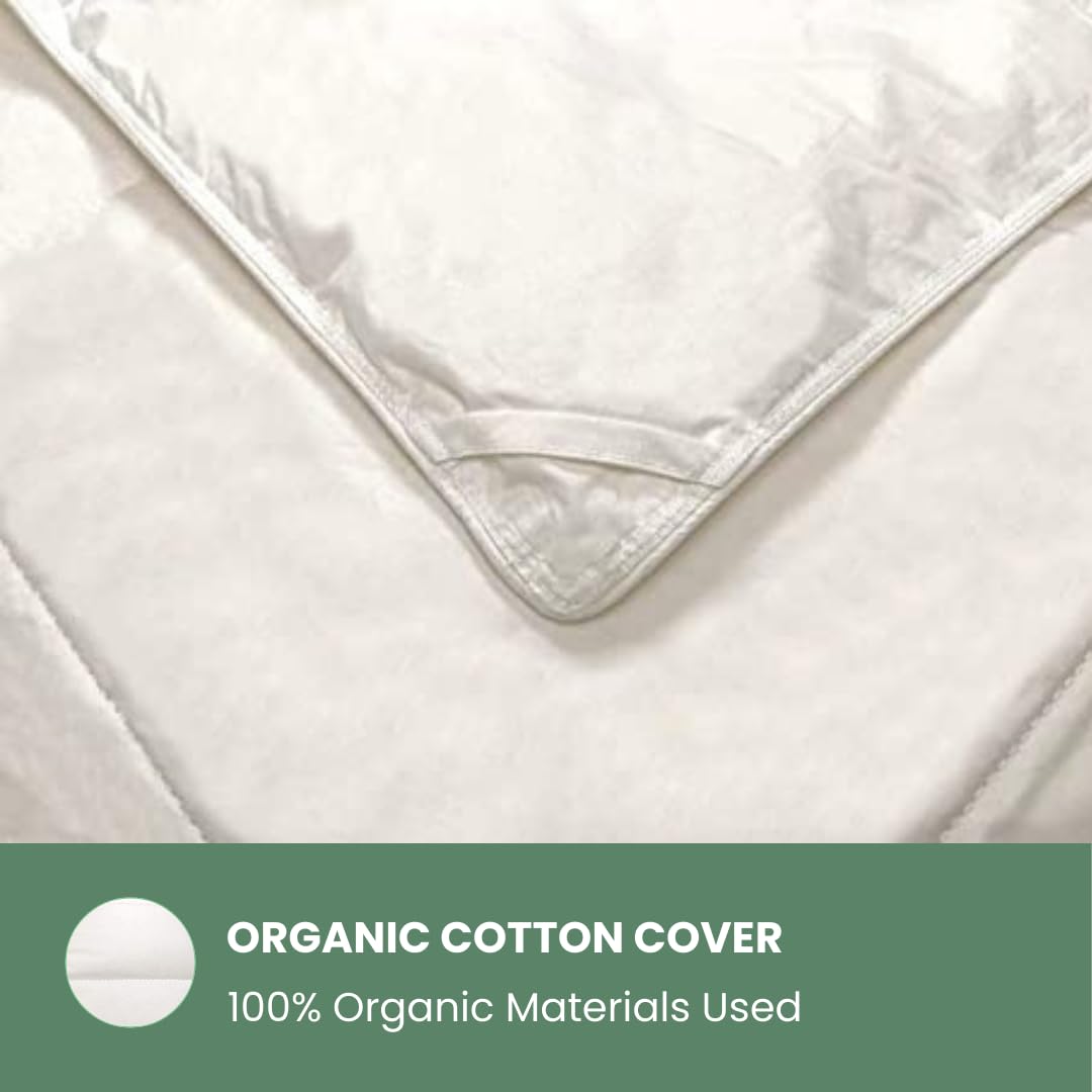 Organic Bamboo Rayon & Cotton King Size Comforter - 350 Thread Count, Box Stitching, Ultra Soft & Breathable for Hot Sleepers - Machine Washable - Perfect for All-Season Comfort in Bedroom, Guest Room, or Dorm