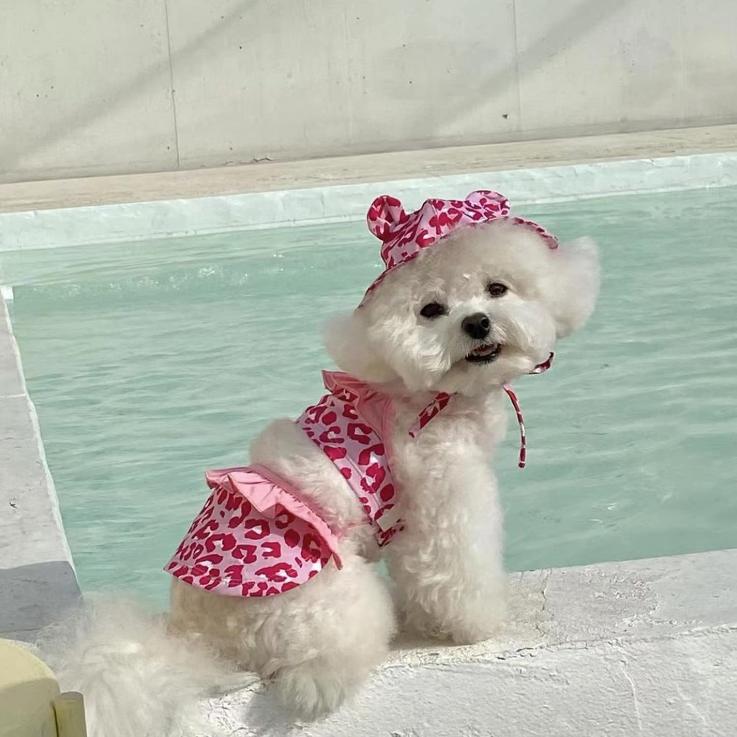 Leopard Dog Bikini Swimsuit with Hat - Summer Pet Beachwear for Small Dogs & Cats