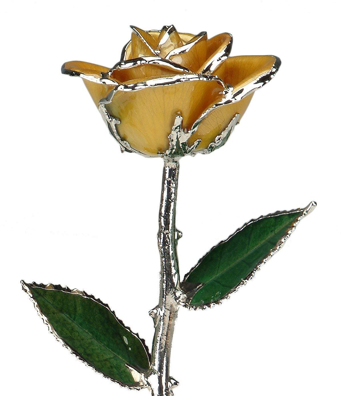 Yellow Platinum Dipped Genuine Rose Jewelry - Elegant Necklace for Women | Perfect for Weddings, Anniversaries & Romantic Gifts