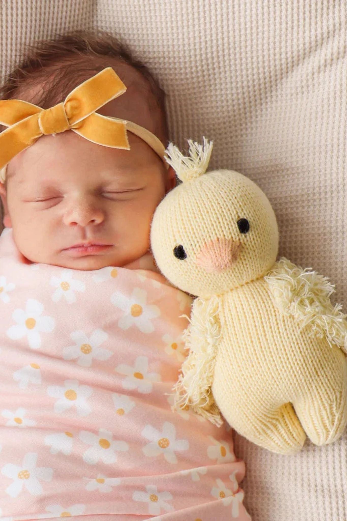 Baby Duckling (Under 1 Year) - Adorable Pet Duck for Kids & Families | Perfect for Backyard Ponds, Farm Life & Educational Animal Care