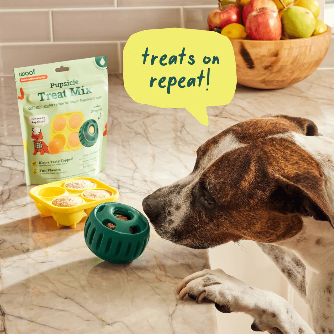 Healthy Homemade Pupsicle Pops for Happy Tummies - Natural Digestive Aid for Dogs - Perfect for Summer Treats & Digestive Support