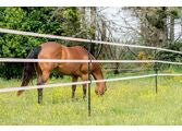 Gallagher Insulated Line Post Tape Clip - 20 Pack - Heavy Duty Fence Wire Clips for Electric Fencing - Ideal for Farm, Ranch, and Livestock Enclosures