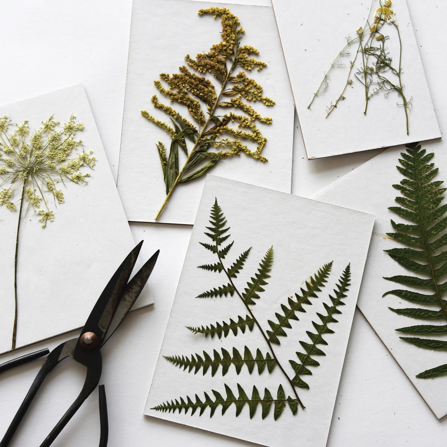 Portable Flower Press Kit for Drying & Preserving Flowers - Perfect for DIY Crafts, Scrapbooking & Nature Lovers