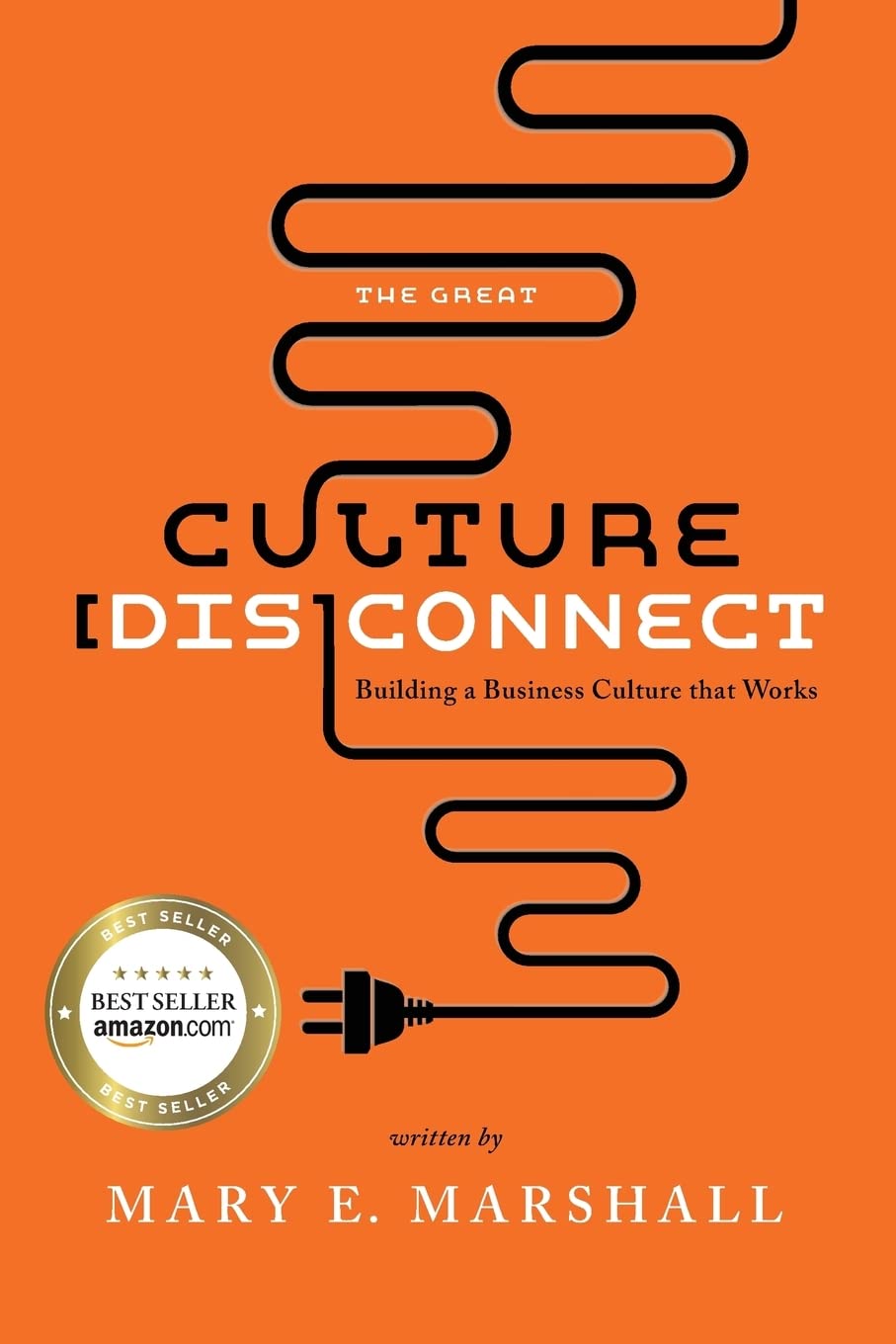 Building a Strong Business Culture: Strategies for Effective Workplace Connection | Improve Team Collaboration & Company Success