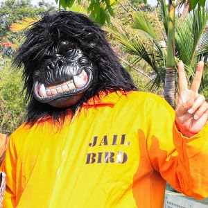 Gorilla Mask Hairy Latex Animal Costume - Realistic Monkey Head Mask for Halloween, Cosplay, Carnival & Themed Parties - Perfect for Costume Events, Role Playing & Fun Gatherings