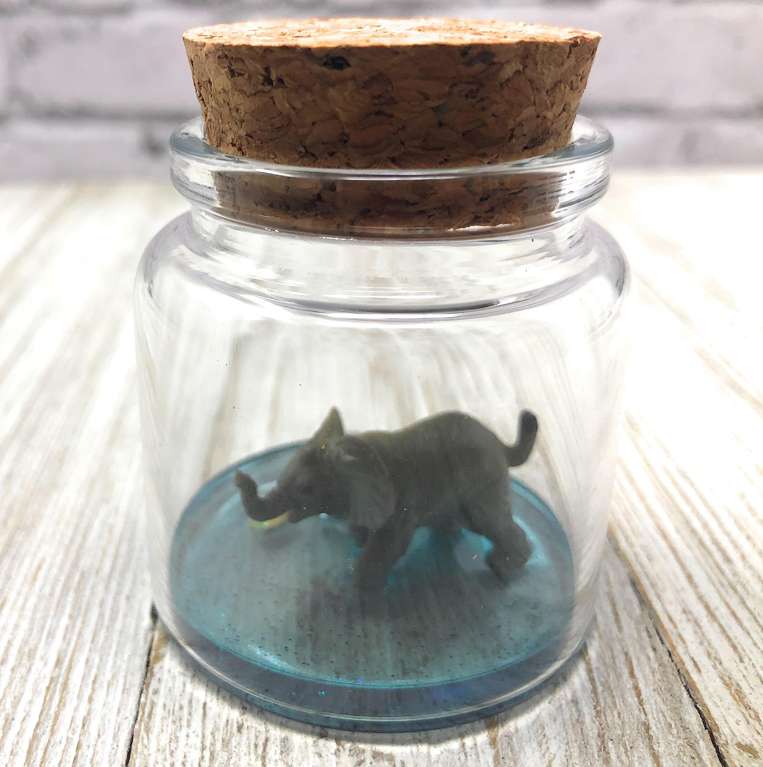 Mini Glass Terrarium with Adorable Elephant Desk Pet & Adoption Certificate - Perfect for Office Decor, Home Display & Stress Relief Gifts