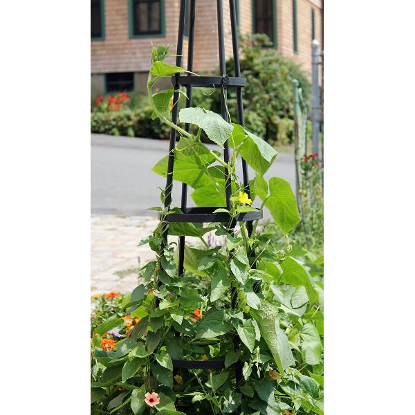 Achla Designs Obelisk Garden Trellis - Obl 01 & Obl 02 - Metal Plant Support for Climbing Flowers, Vines, and Vegetables | Perfect for Outdoor Gardens, Patios, and Backyard Landscaping