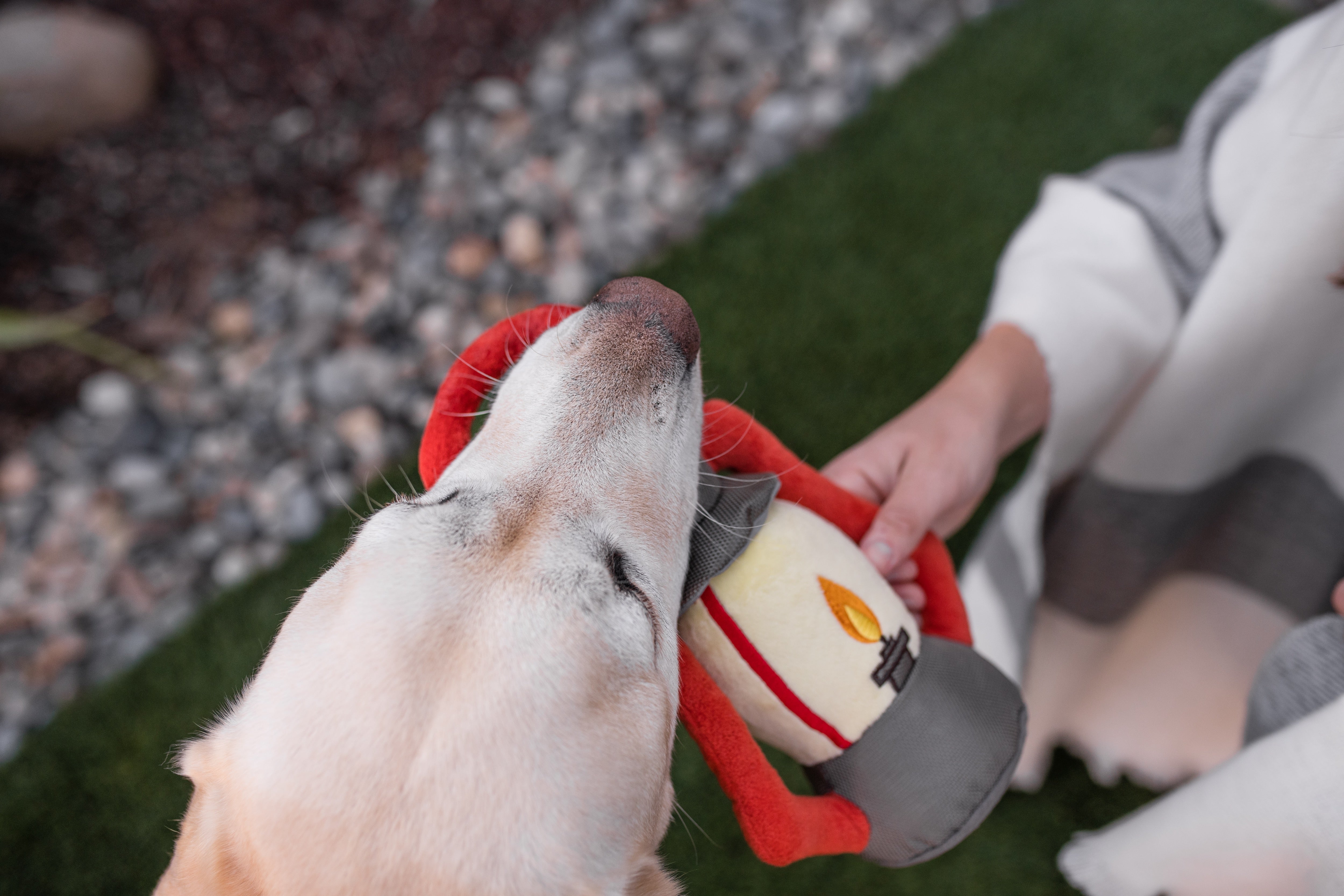 Camp Corbin™ Dog Plush Toy with Flashlight - Interactive Chew Toy for Small & Large Dogs - Perfect for Playtime, Training & Outdoor Adventures