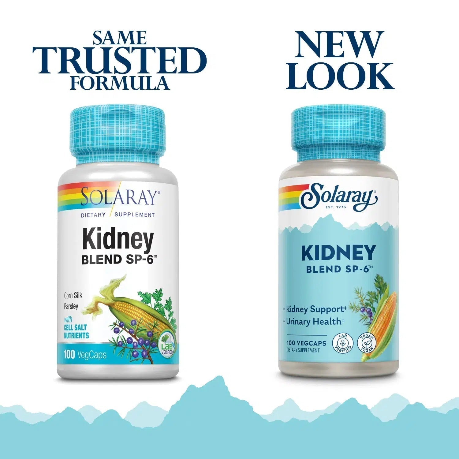 Solaray Kidney Blend SP 6 - Herbal Kidney Support Supplement with Organic Ingredients | Supports Urinary & Detox Health | Ideal for Daily Wellness & Detox Routines