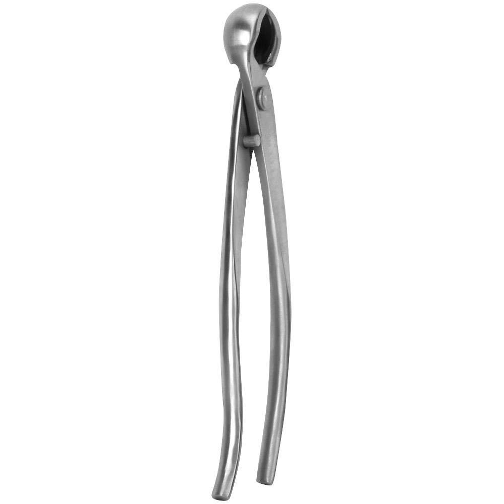 Premium Stainless Steel Bonsai Branch Cutter - 210mm (8.26
