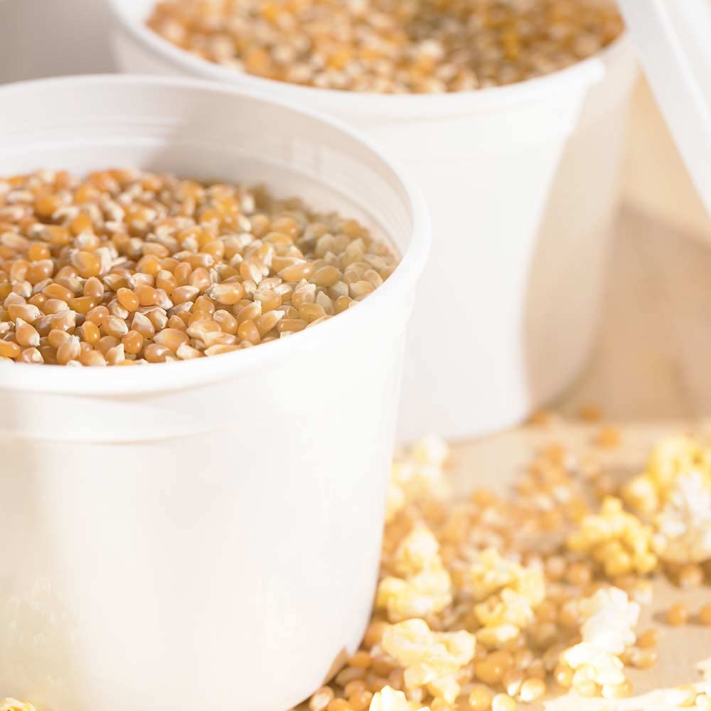 1 Gallon (128 oz) BPA Free Plastic Food Storage Containers with Lids - 100 Pack | Microwave & Freezer Safe | Meal Prep, Leftovers, Bulk Food Storage | ePackageSupply