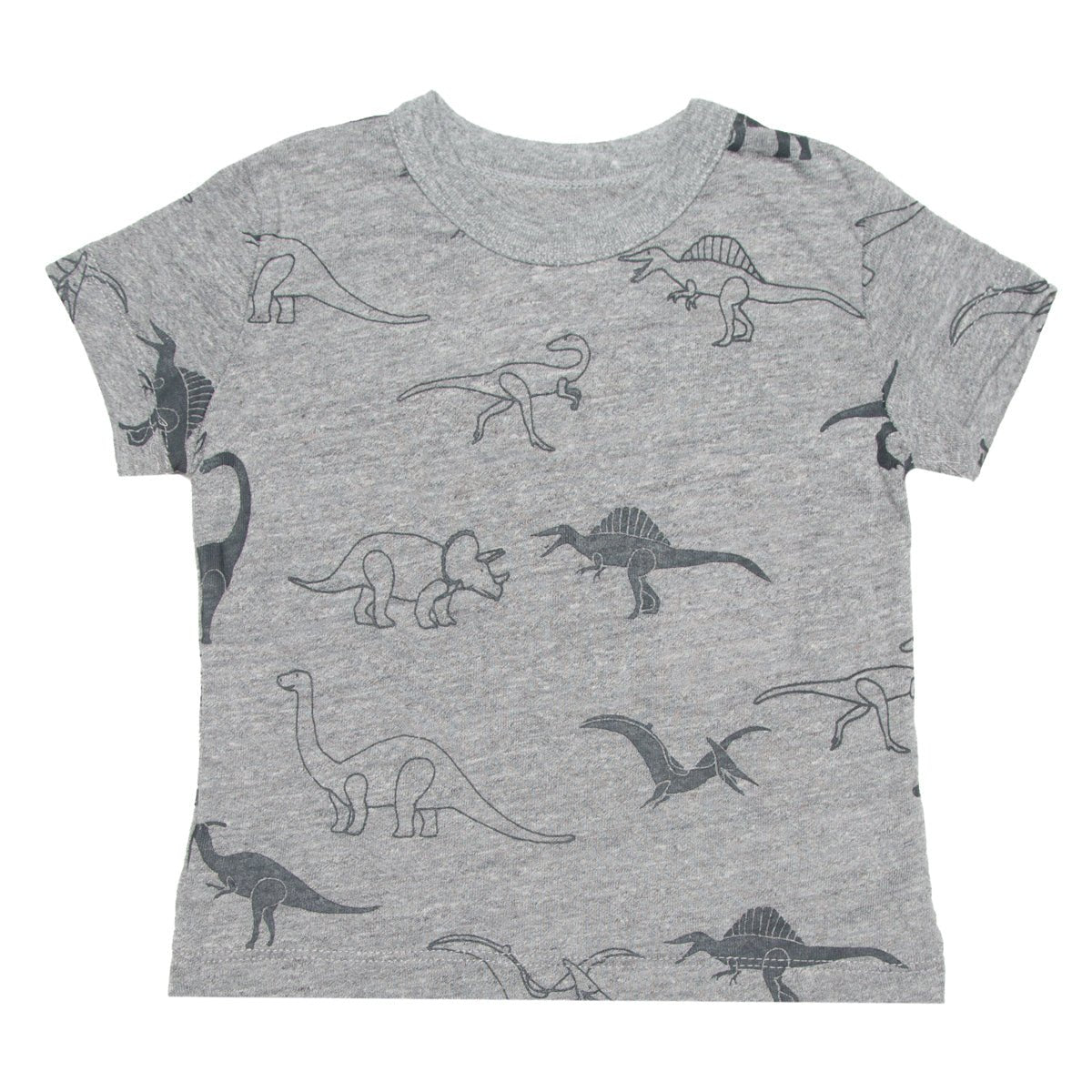 Dinosaur Graphic T-Shirt for Kids - Cute Dino Print Tee for Boys & Girls | Perfect for School, Playdates & Birthday Parties