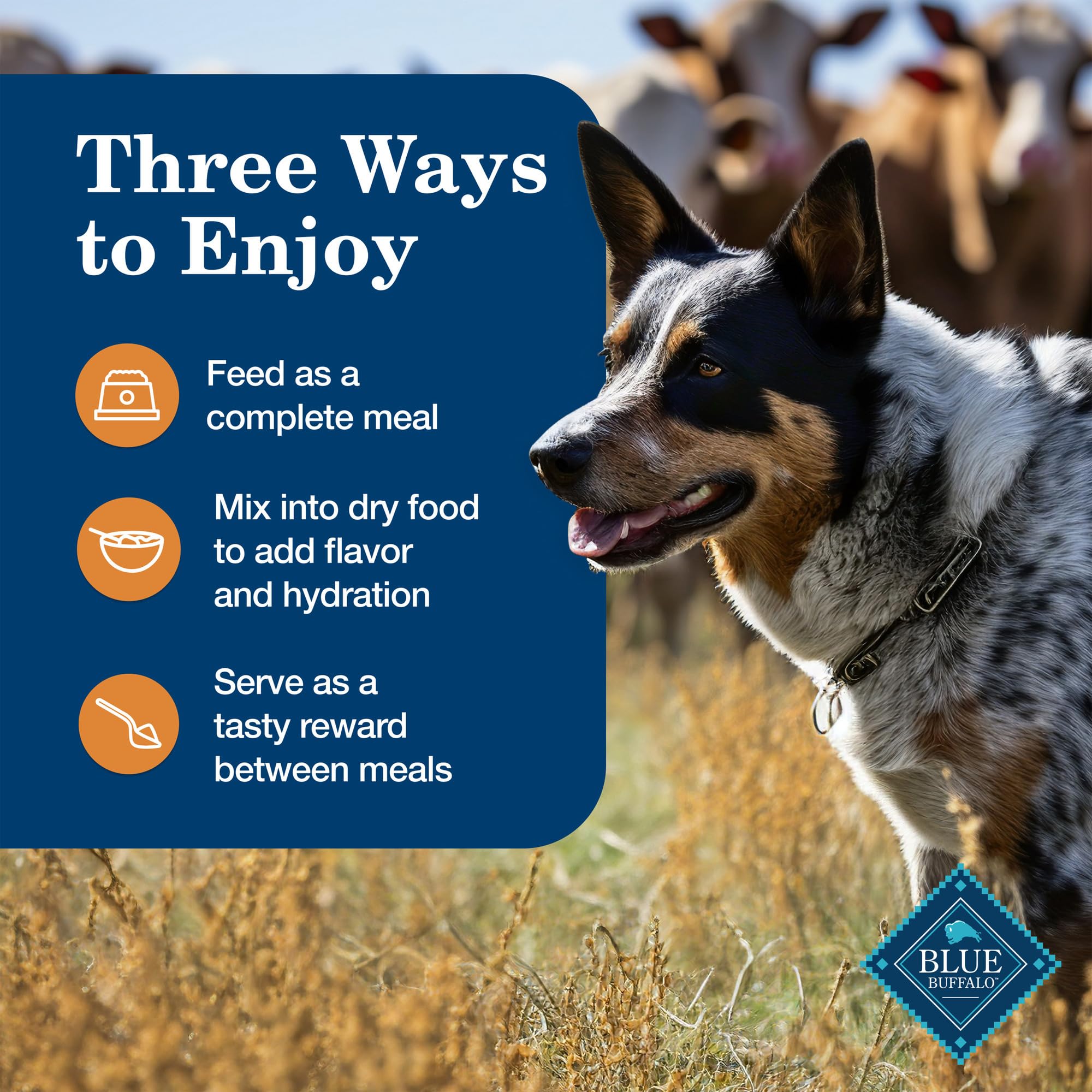 Blue Buffalo Homestyle Recipe Large Breed Adult Wet Dog Food - Natural Chicken & Garden Vegetables - 12.5oz Cans (Pack of 12) | High Protein Meal for Active Dogs, Perfect for Daily Feeding & Training Rewards