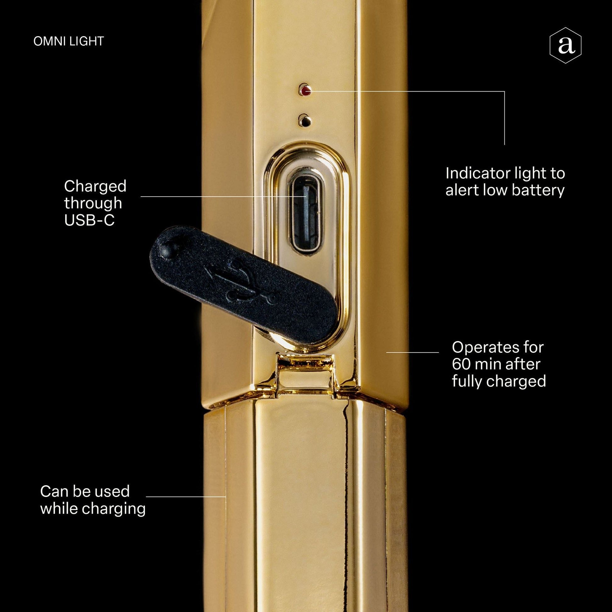 Apres Gel X Omni Light Gold Nail Extension Kit - Professional Salon Quality Press On Nails for Long Lasting Manicures - Perfect for Weddings, Parties & Special Occasions
