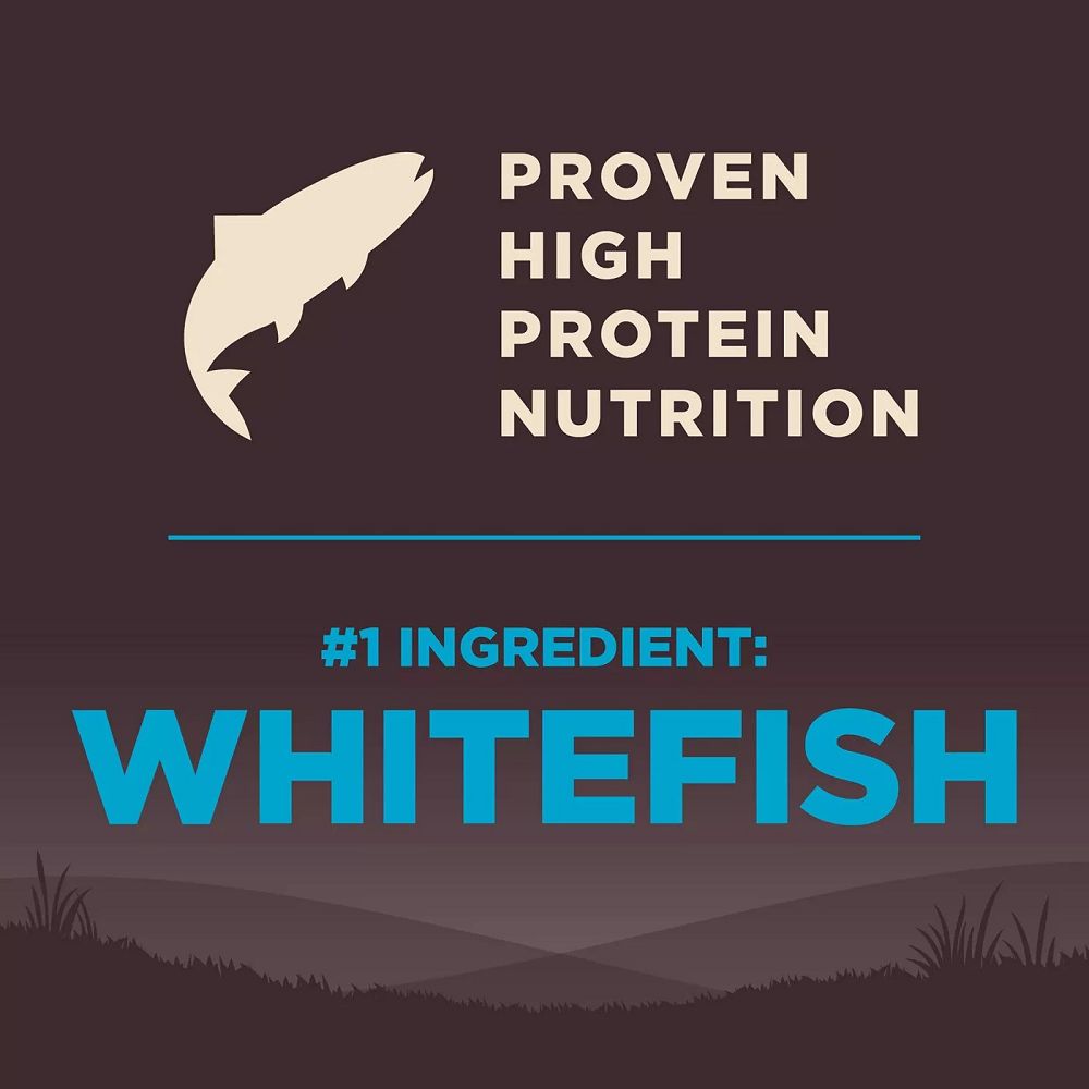 Premium CORE Ocean Adult Dog Dry Food - High Protein Grain-Free Salmon Recipe for Healthy Skin & Coat - Ideal for Active Dogs & Sensitive Stomachs - Perfect for Daily Feeding & Outdoor Adventures