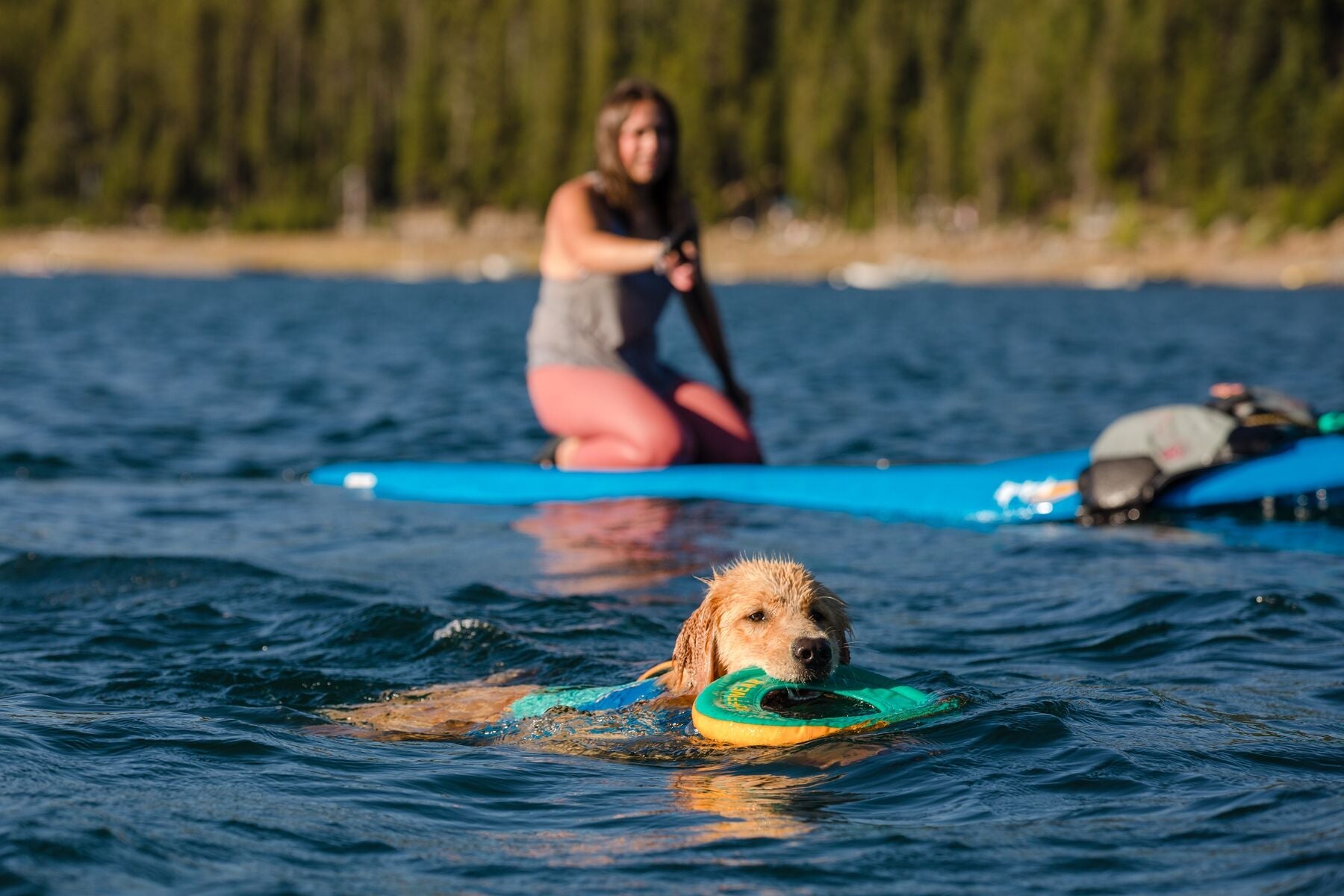 Ruffwear Hydro Plane™ Floating Dog Disc Toy - Tangelo Orange, Waterproof & Durable for Pool, Beach & Outdoor Play - Perfect for Fetch Games with Dogs