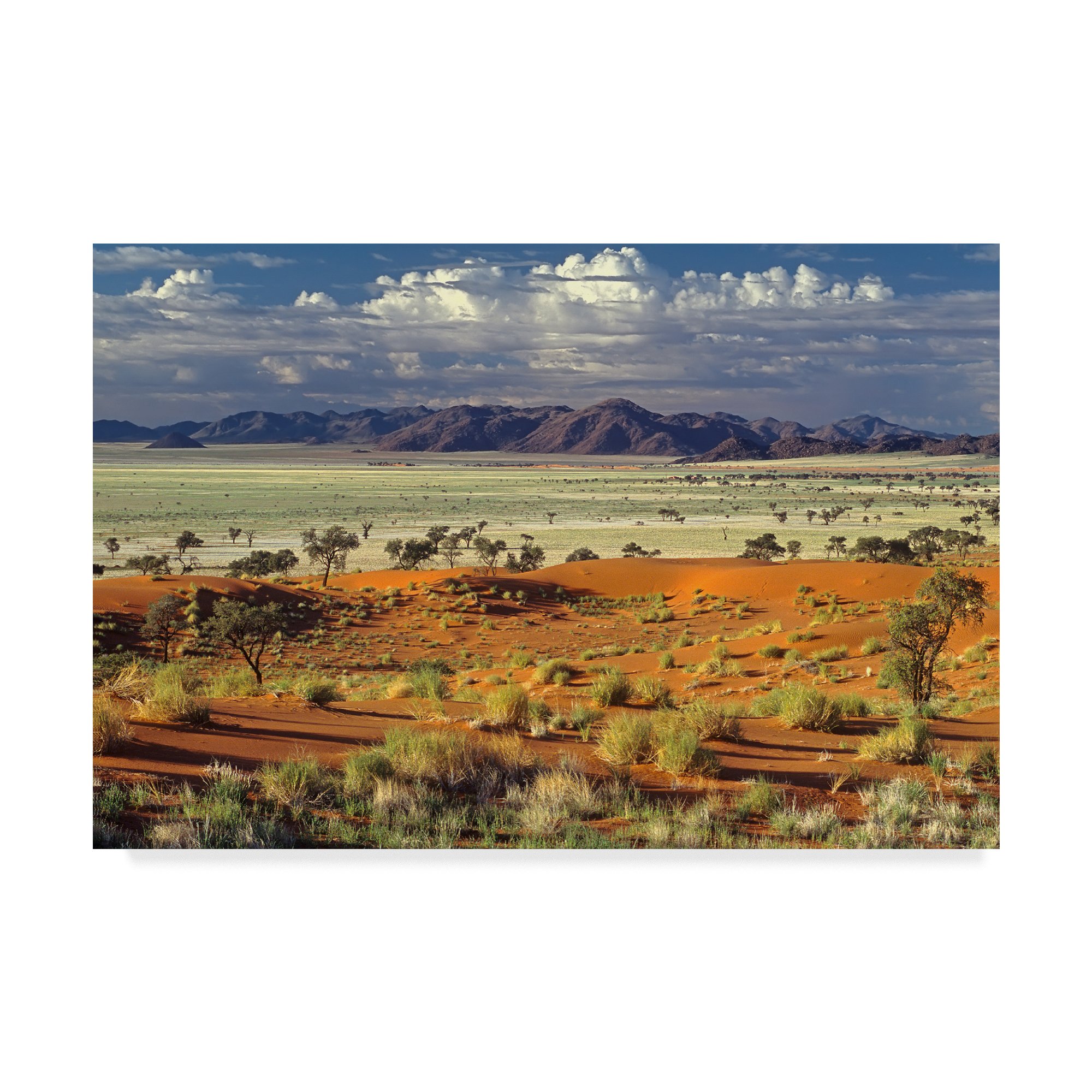 Trademark Fine Art Marc Pelissier Wall Decor - Vibrant Multicolor Canvas Painting for Living Room, Bedroom & Office Decor