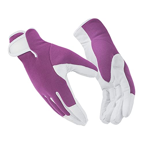 Dark Magenta