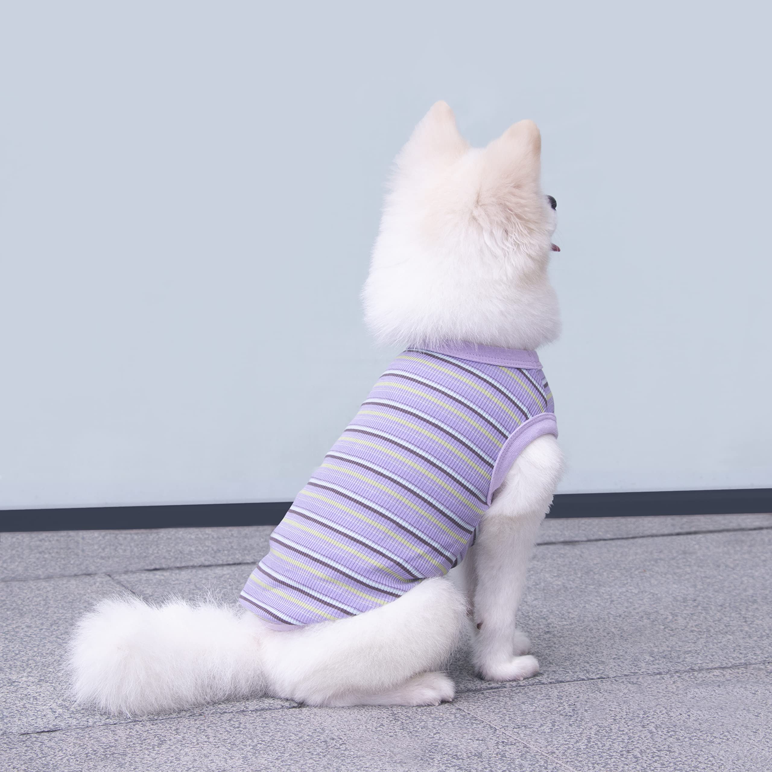 Striped Pet Dog T-Shirts - 100% Cotton Sleeveless Tank Vest for Small Dogs & Cats | Chihuahua, Yorkie Puppy Clothes in X-Small (Purple) | Perfect for Summer Walks, Indoor Play & Pet Fashion