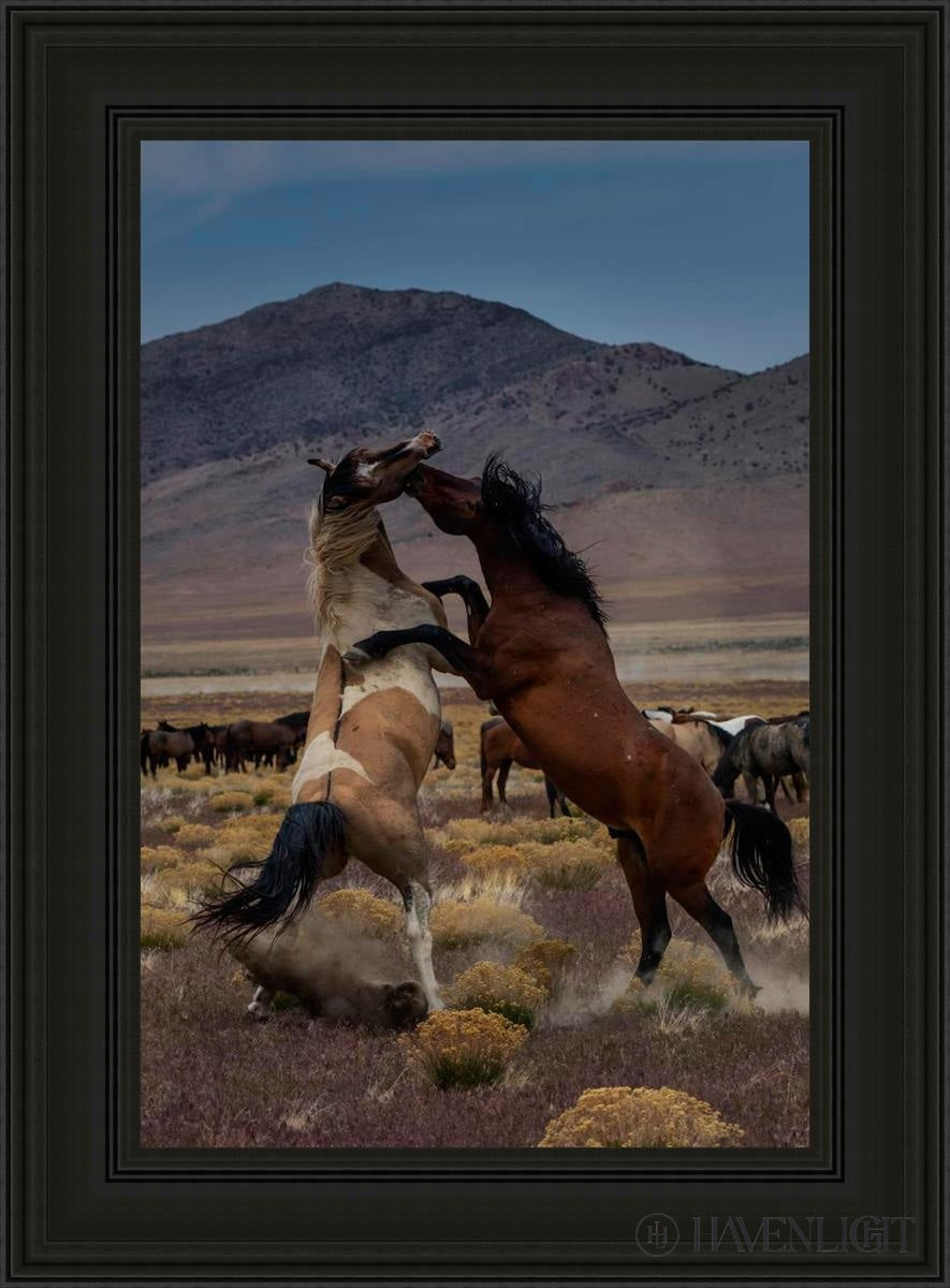Desert Duel 1 by Greg Sargent - Western Adventure Novel for Adults | Perfect for Book Clubs, Gifts & Western Fiction Fans