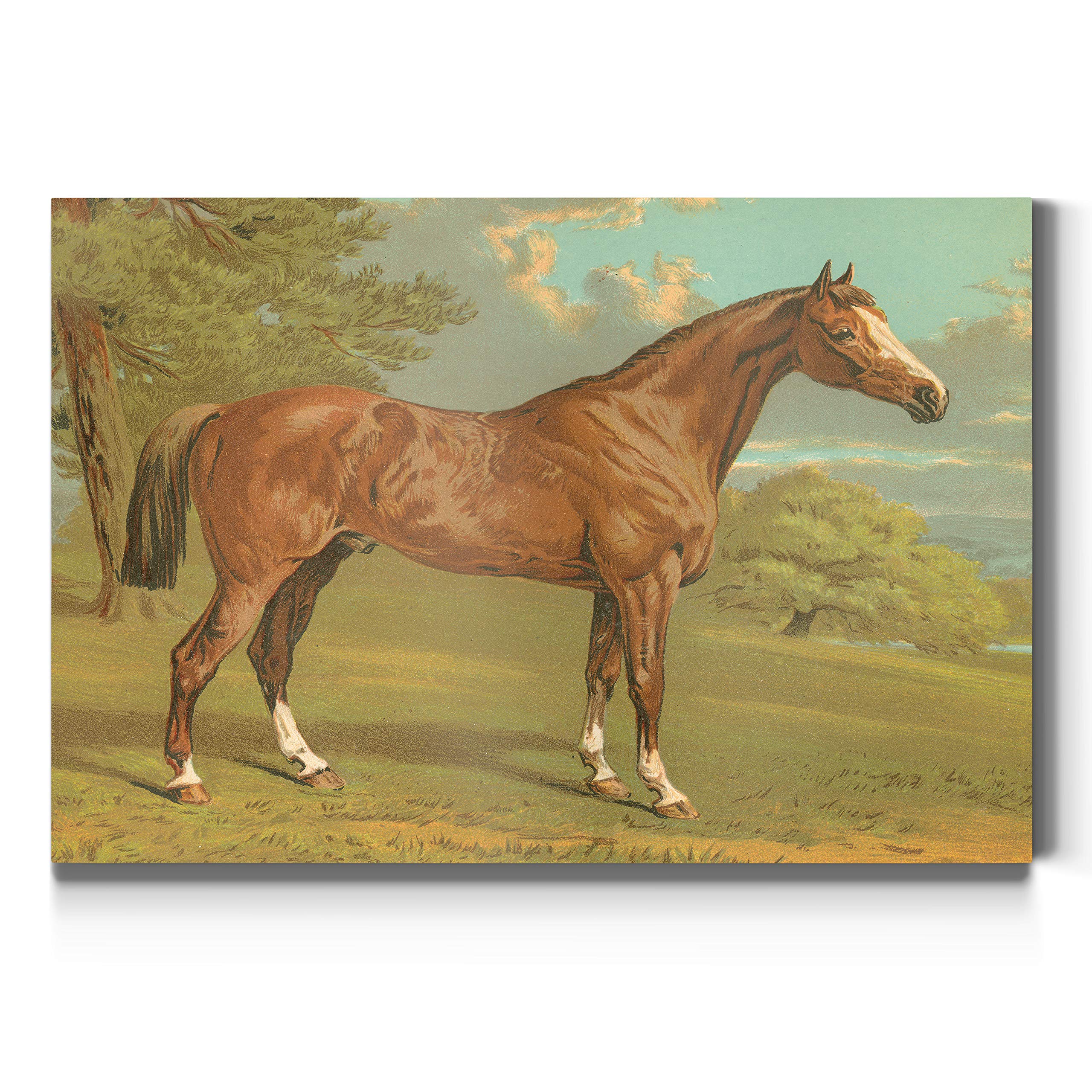 Premium Gallery Wrapped Canvas Wall Art - Handsome Brown Horse in Green Grass & Blue Sky | 32x48 Inches | Ready to Hang | Made in USA | Perfect for Living Room, Bedroom & Office Decor