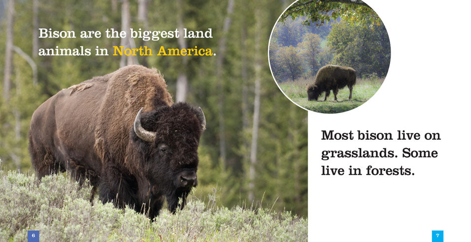 Bison 978-1-60818-795-9 - Premium Quality Book for Collectors, Readers & Researchers | Perfect for Gifts, Libraries & Academic Studies