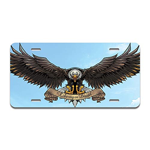 American Eagle Sky