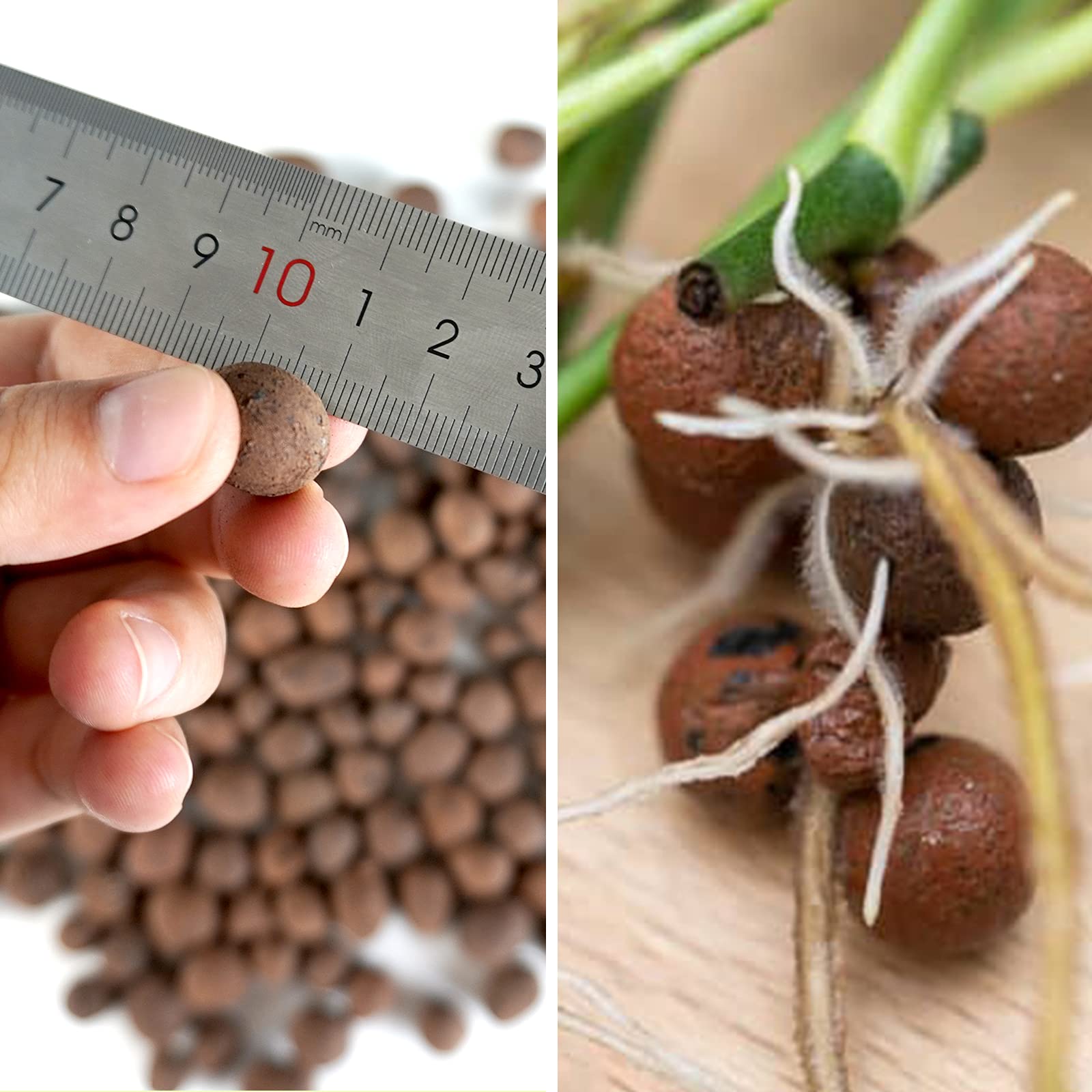 Premium Leca Expanded Clay Pebbles 1LB - Hydroponic Growing Media for Indoor Plants, Orchids, Herbs | Ideal for Hydroponics, Aquaponics & Gardening Systems | Improves Aeration & Drainage