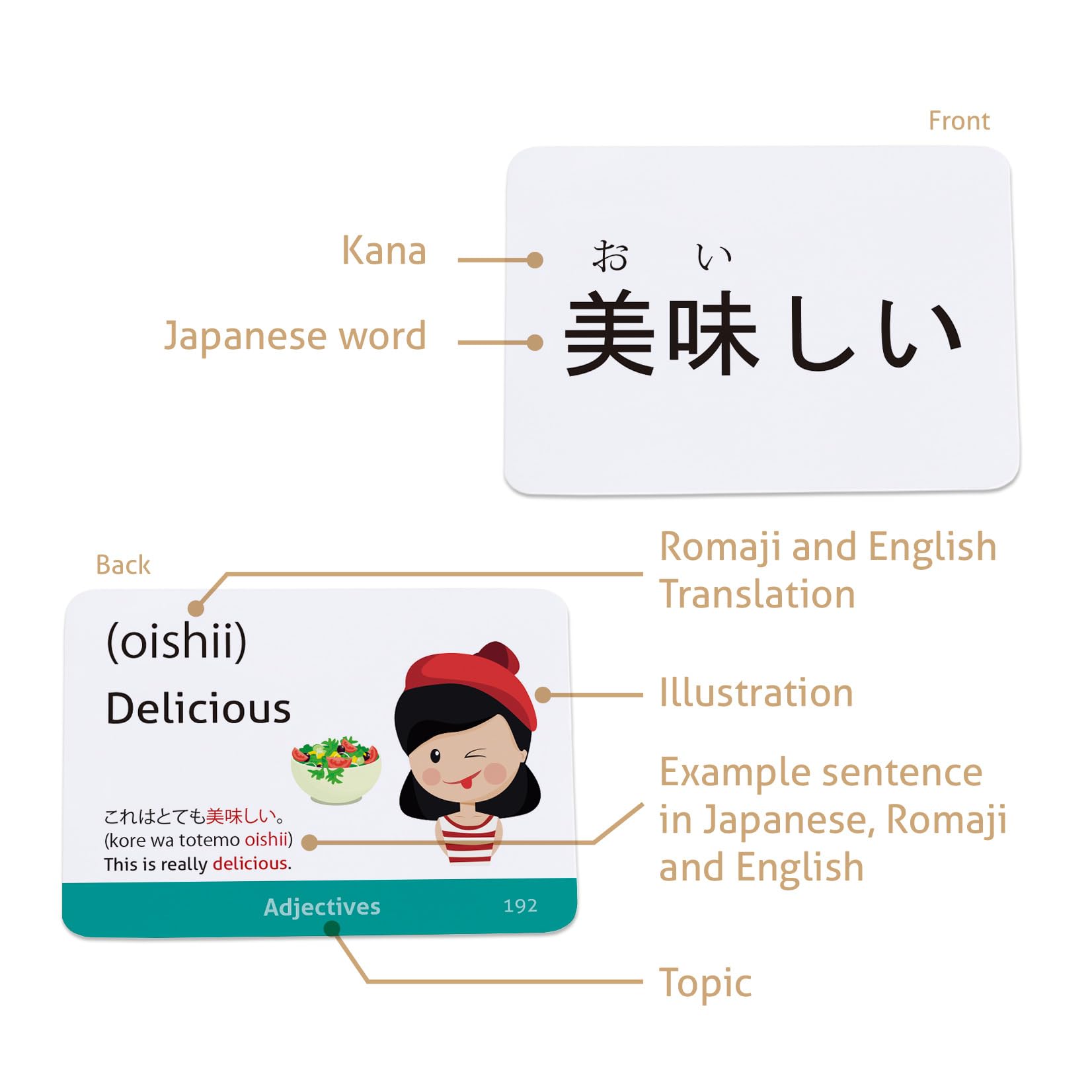 CARDDIA Japanese Hiragana & Katakana Flash Cards with Vocabulary - Beginner Learning Set for Language Study, Travel & Anime Enthusiasts