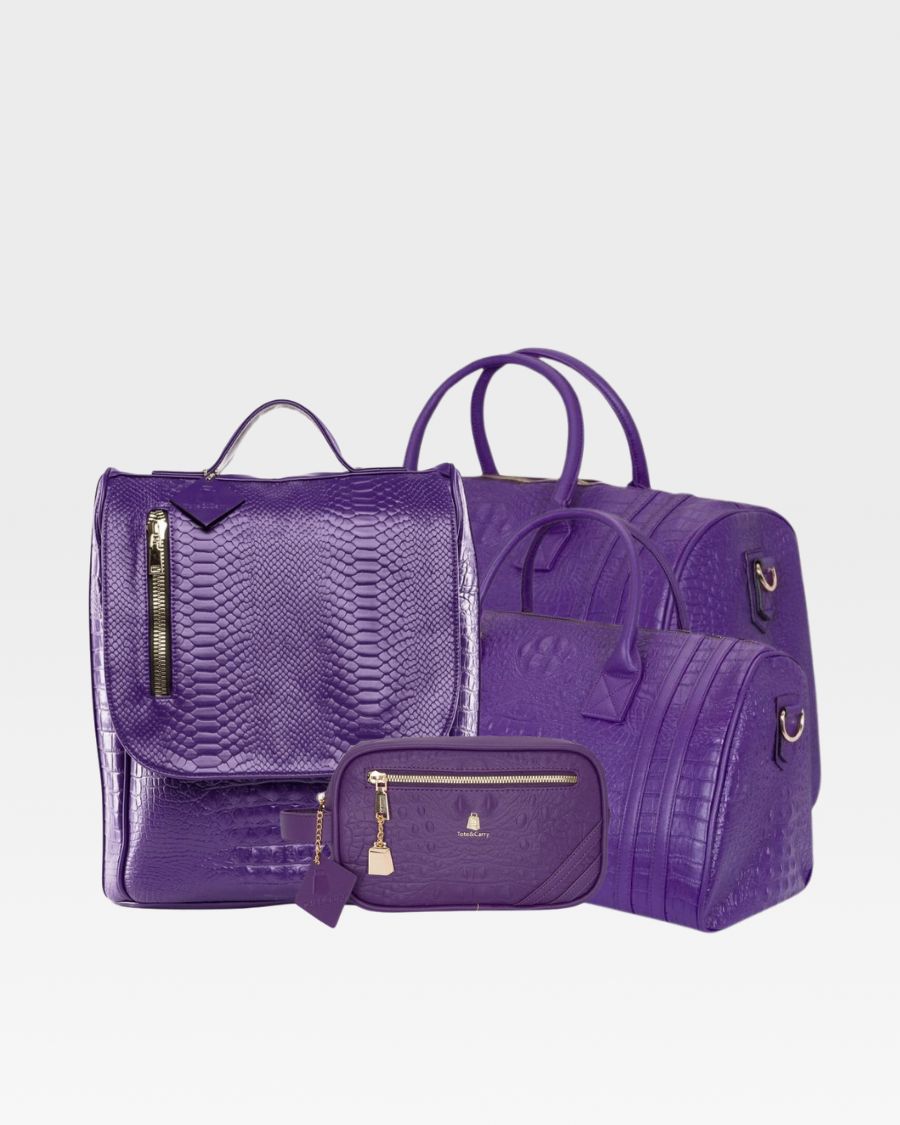 Apollo 2 Premium Travel Set - 4-Piece Luggage Collection with TSA Lock (Carry-On, Check-In, Weekender & Toiletry Bag) - Perfect for Business Trips & Family Vacations
