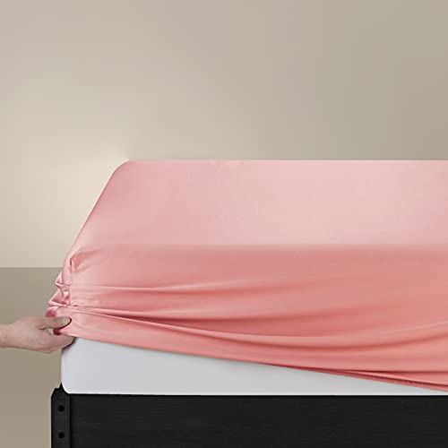 Modilan Pink