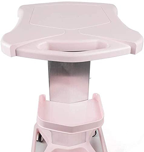 Professional Salon Medical Trolley - Rolling Hair Cart with Instrument Tray | Mobile Beauty Storage Stand for Hair Stylists & Spa Services | Pink Beauty Tool Organizer | Perfect for Salon, Spa & Home Hair Care