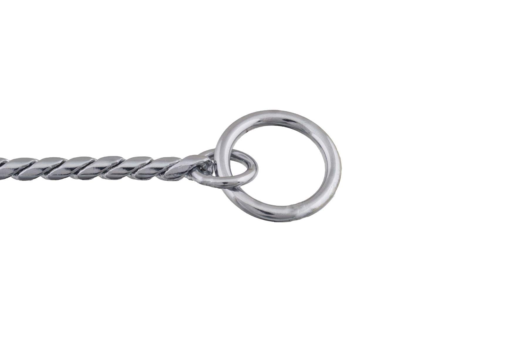 Premium Alvalley Metal Chain Dog Show Collar - Adjustable Brass Snake Chain Slip Collar for Toy, Small, Medium, Large & XL Dogs - 5.5mm Thick Chrome Plated (28