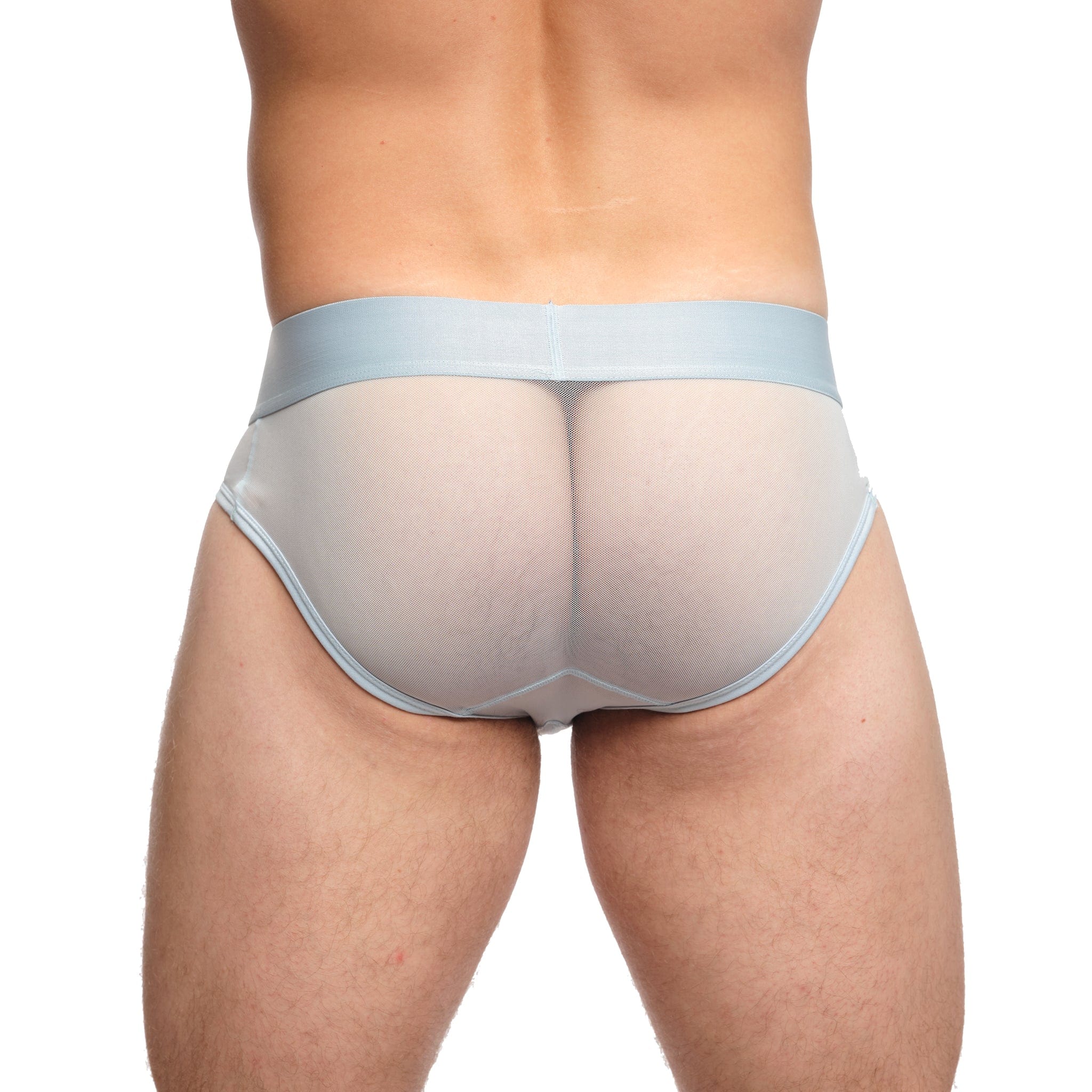 Just The Bones Sheer Brief Sky - Comfortable & Sexy Women's Underwear for Everyday Wear or Special Occasions