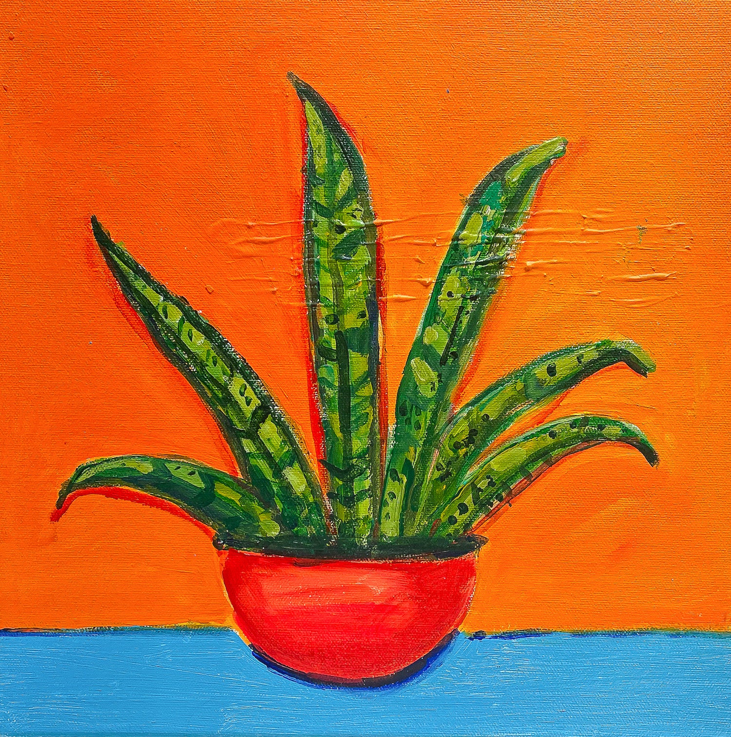 Elaina Posey: Snake Plant (Sansevieria) in Orange Pot - Perfect for Home Office Decor, Air Purifying Indoor Plant