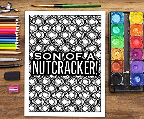 Dad Life Adult Coloring Book for Men - Clean Dad Swears & Old Coot-isms | Stress Relief & Creative Fun for Fathers, Gifts for Dad, Relaxation Activity