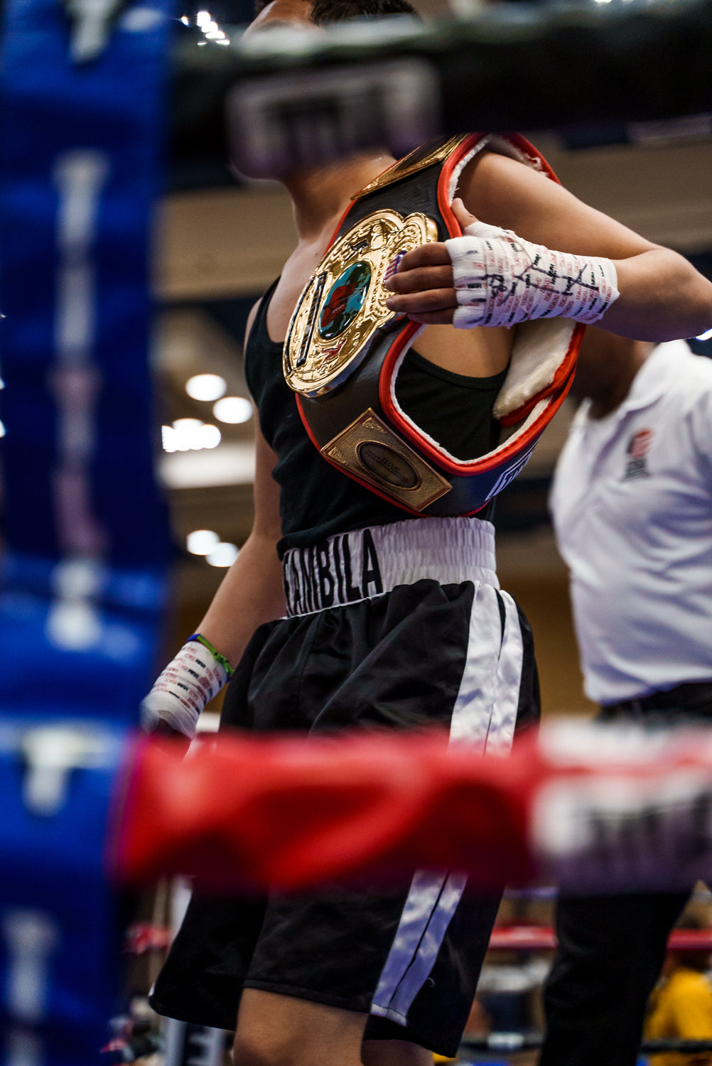TITLE Boxing World Championship Belt - Authentic Boxing Title for Champions | Perfect for Boxing Awards, Tournaments & Sports Decor