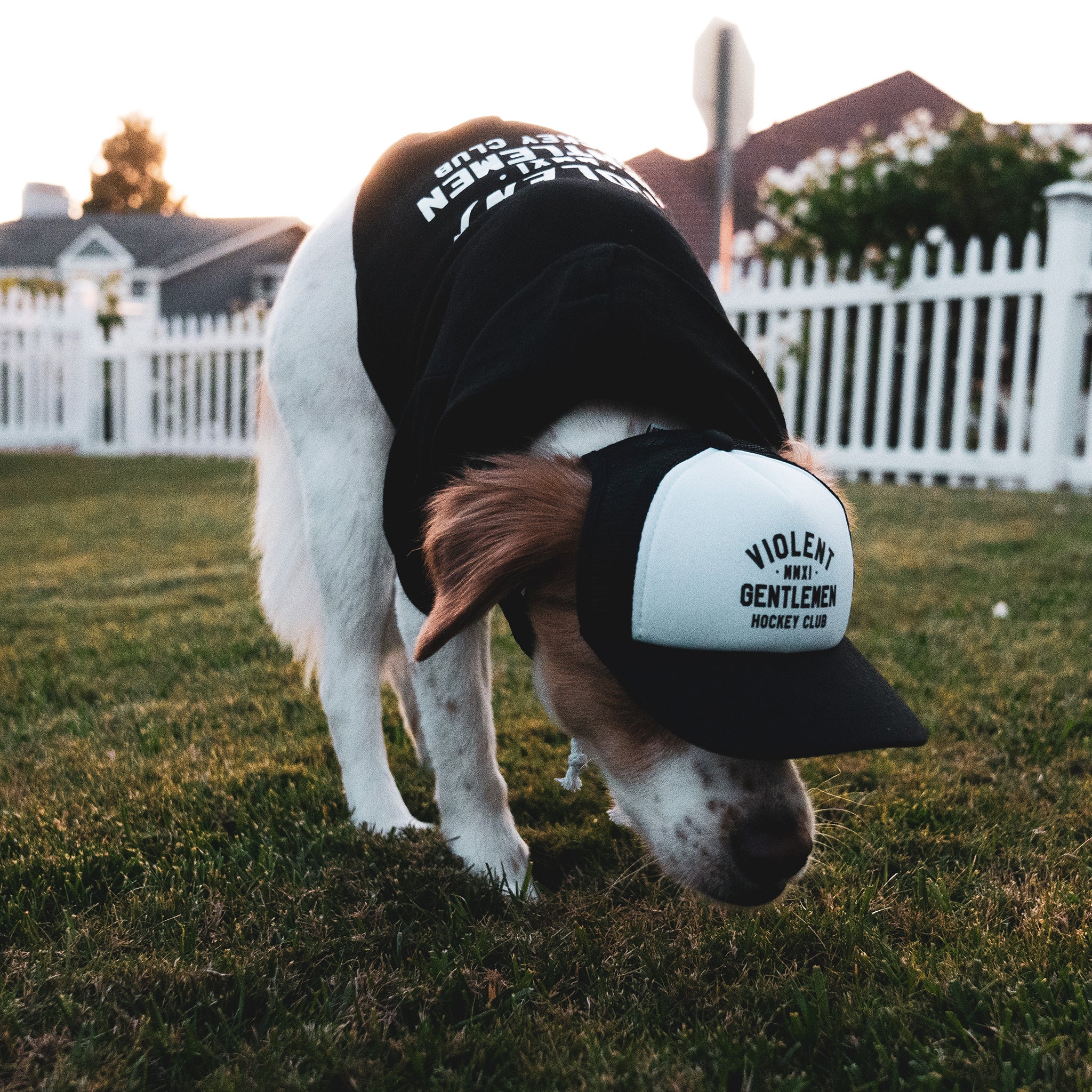 Loyalty Pet Foam Trucker Hat - Adjustable Baseball Cap for Dogs - Comfortable & Breathable Dog Hat for Outdoor Adventures, Hiking, and Photo Shoots
