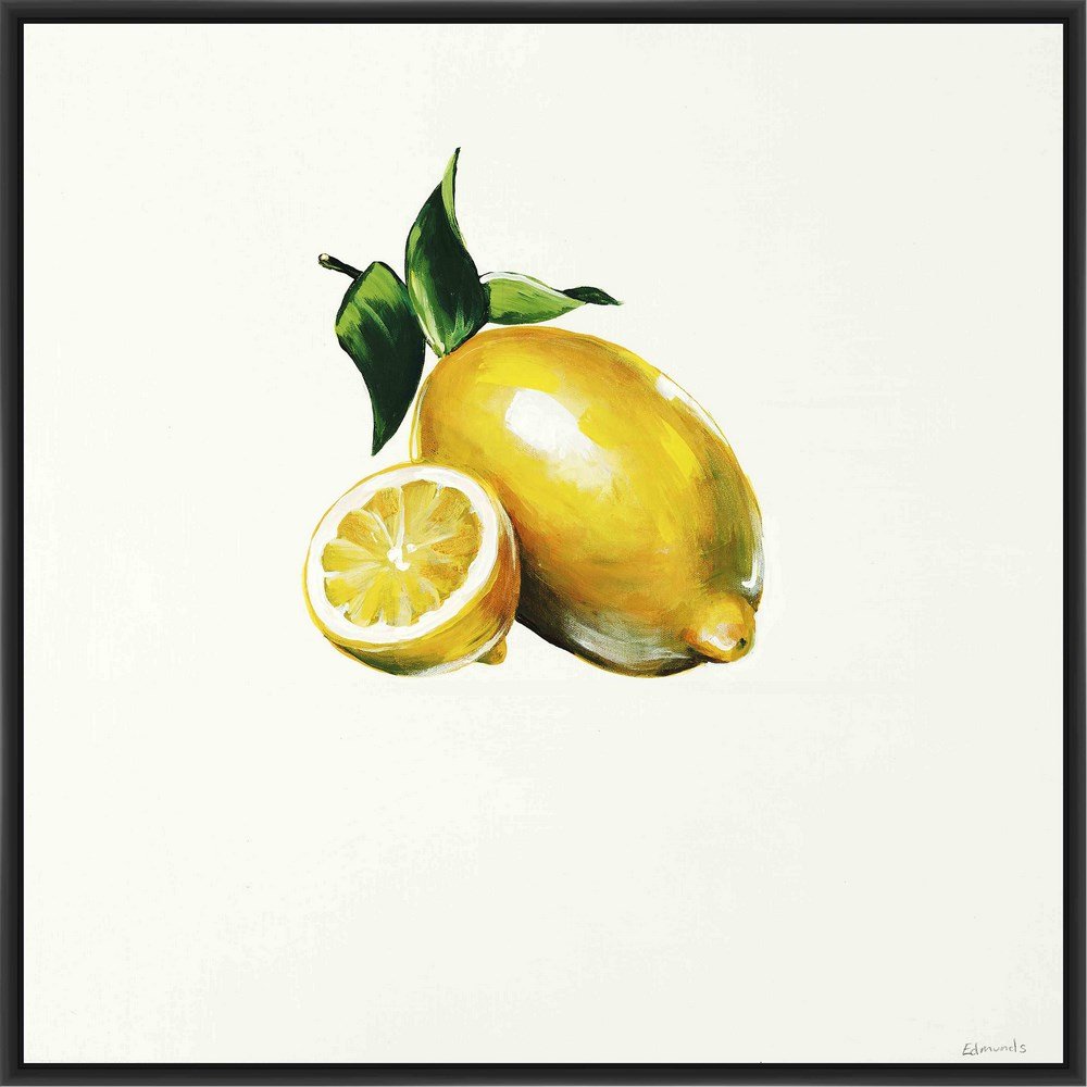 9-13516 Lemon Canvas Wall Art - Black & White Modern Kitchen Decor for Home, Dining Room, or Cafe