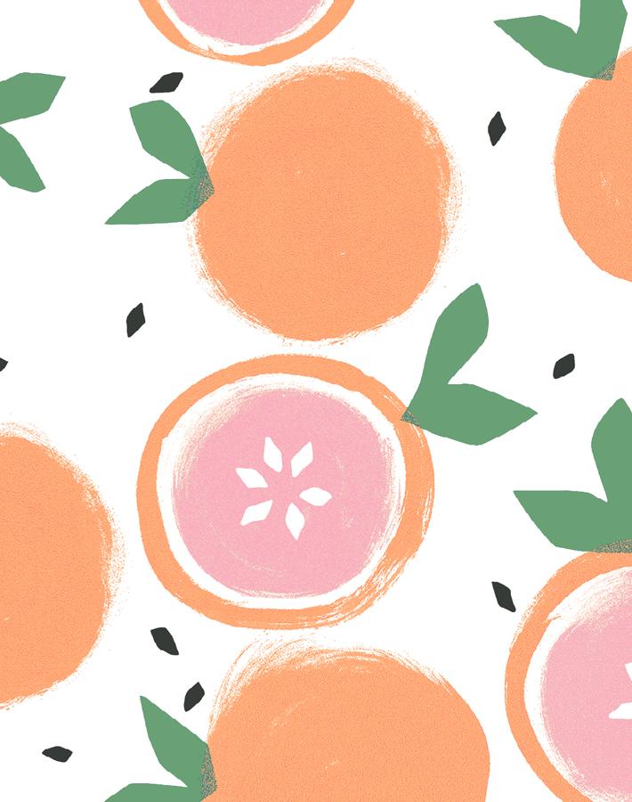 Grapefruit Wallpaper by Tea Collection - White Peel & Stick Removable Wallpaper for Kitchen, Bathroom, Nursery & Home Decor