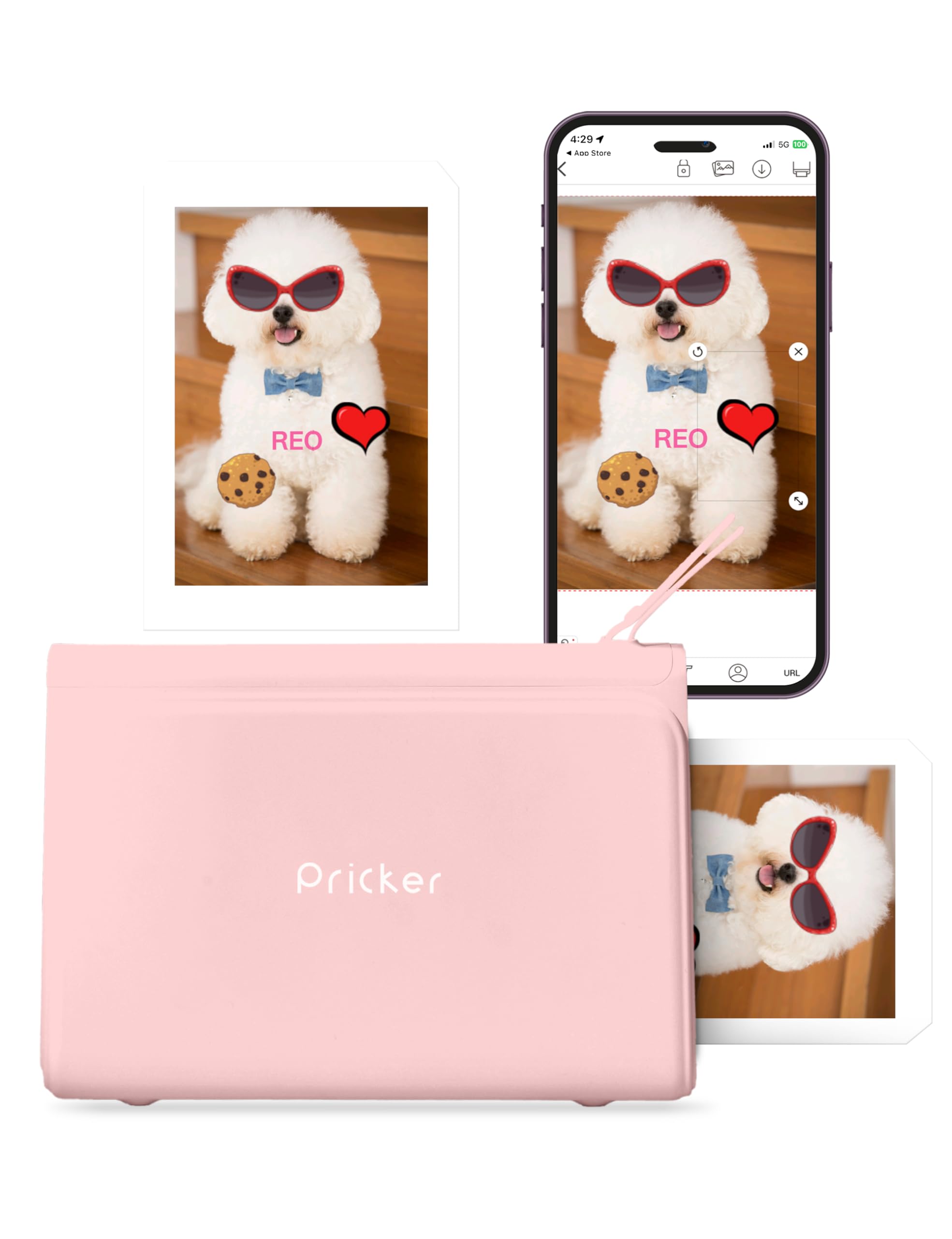 Wireless Photo Sticker Printer for iPhone & Android - 6PASS Mini Portable Printer with 10 Photo Sheets & 10 Label Sheets - Customizable 2.56
