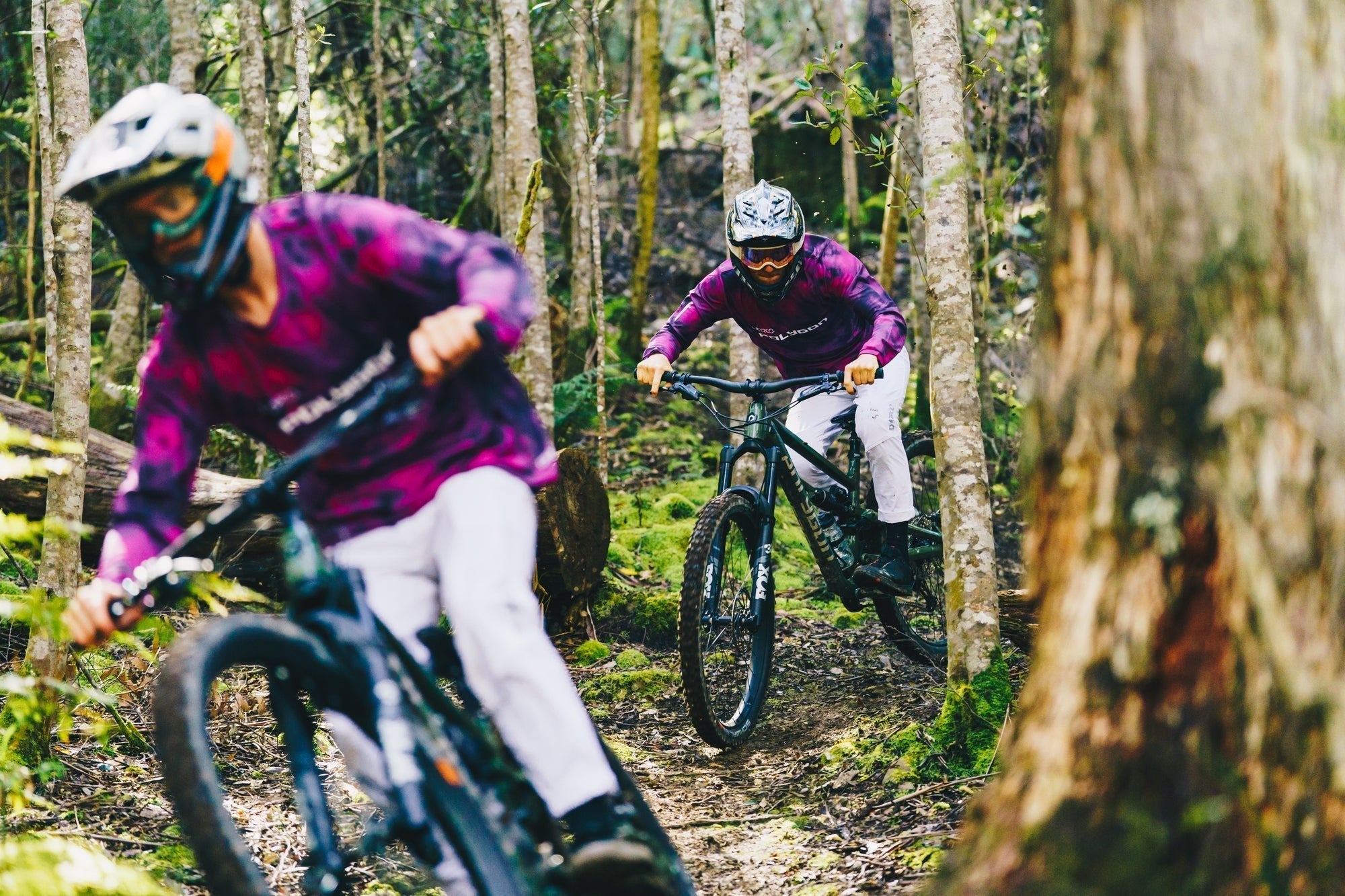 Polygon Collosus N9 Mountain Bike - 29