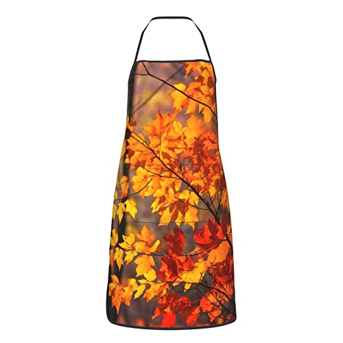 Autumn Maple Leaves
